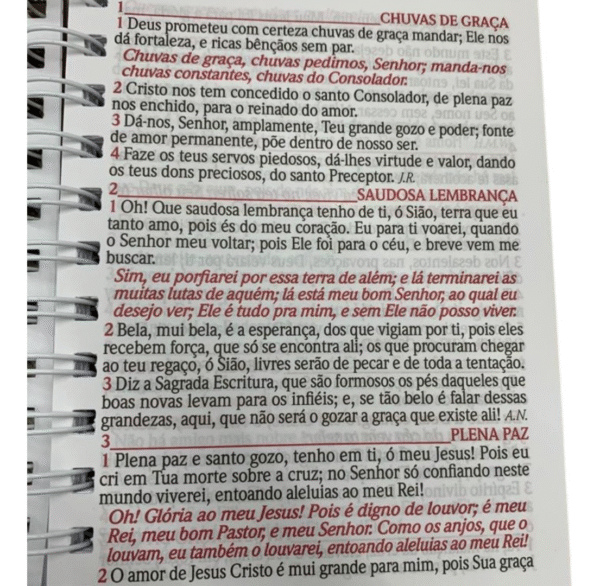 Harpa Grande Letra Hipergigante Capa Dura Espiral Floral Pink - cpp - Imagem 4