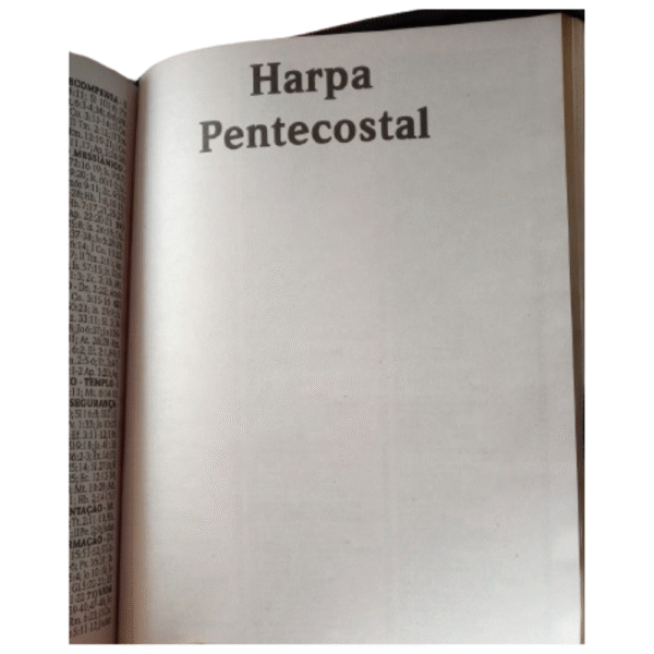 Biblia Letra Jumbo capa floral azul com harpa, com indice e capa com ziper - Imagem 6