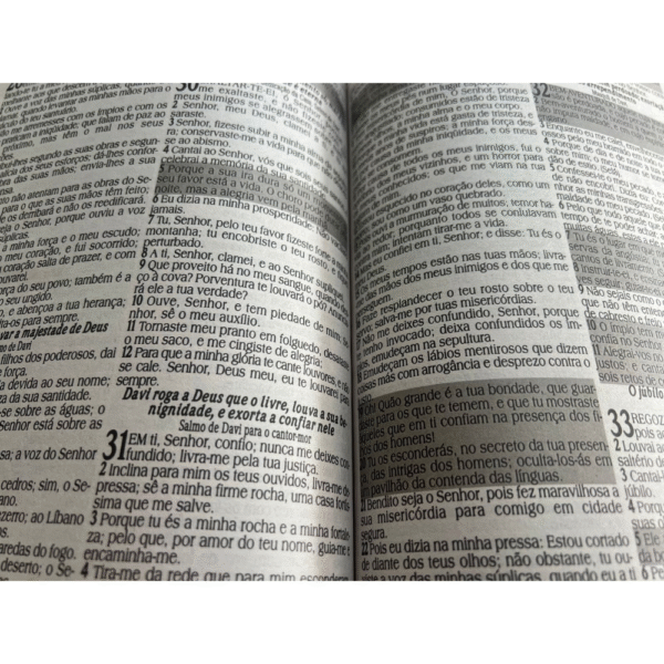 Biblia Letra Jumbo capa floral azul com harpa, com indice e capa com ziper - Imagem 5