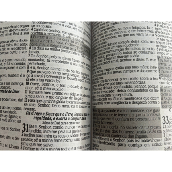 Biblia Letra Jumbo capa floral azul com harpa, com indice e capa com ziper - Imagem 4