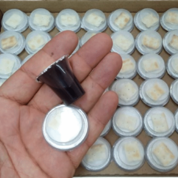 Kit Ceia do Senhor  - 48 CÁLICES PRONTOS COM SUCO DE UVA NATURAL + PÃO INTEGRAL. (PÃO ÁZIMO) - Imagem 6