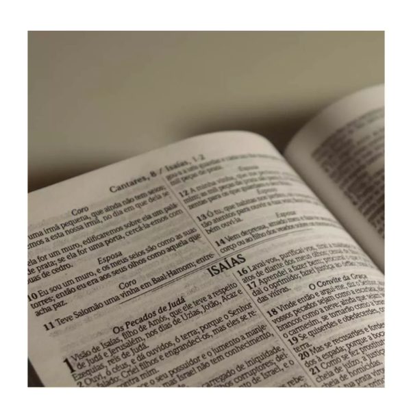 Biblia Slim Capa Dura Arc Harpa E Corinhos - Flores E Folhas - Imagem 5