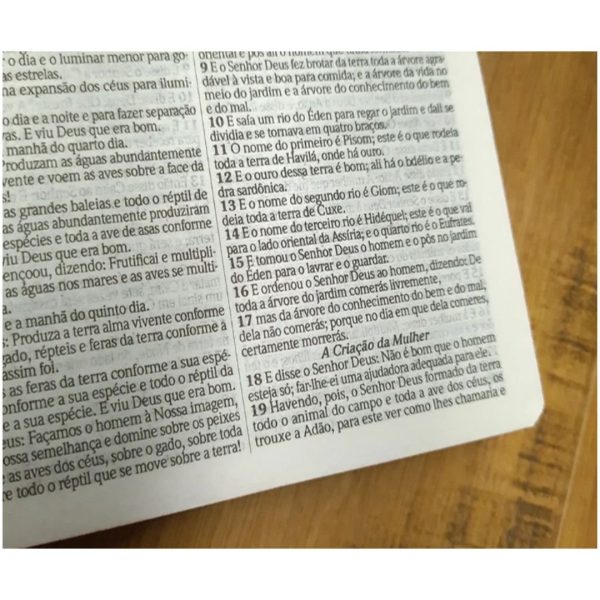 Biblia Slim Capa Dura Arc Harpa E Corinhos - Flores E Folhas - Imagem 4
