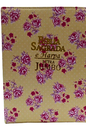 biblia-jumbo-cores-3-3.png